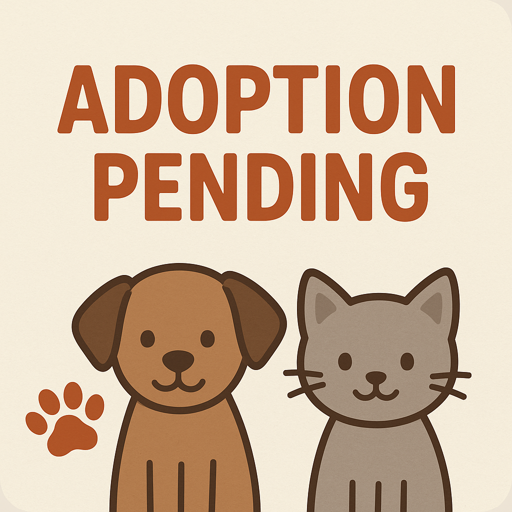 Buddy Pet